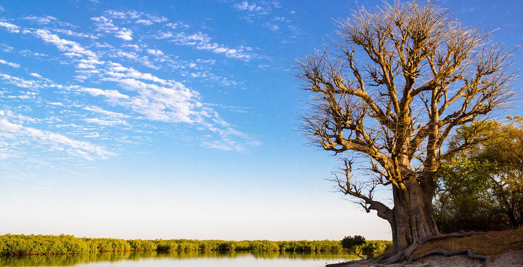 Tour privato "Terra di leggende" con possibile estensione