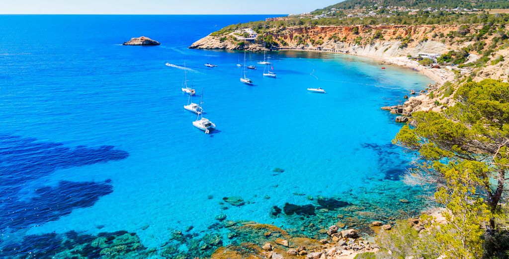 Tour in auto: L'Isla Bonita da Ovest a Est
