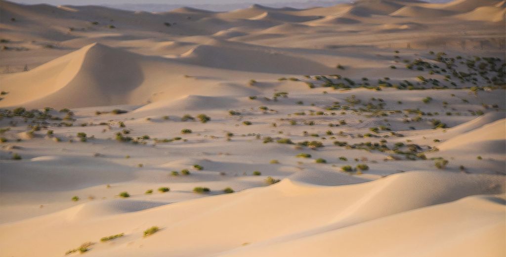 Avani Palm View Dubai Hotel & Suites 