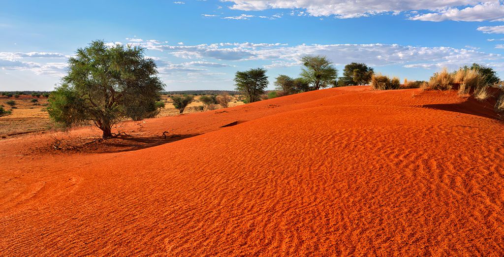 Autotour di 15 notti alla scoperta della Namibia, del Botswana e delle Cascate Vittoria