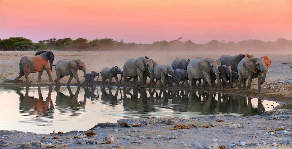 Autotour di 11 notti tra Namibia, Botswana e le Cascate Vittoria