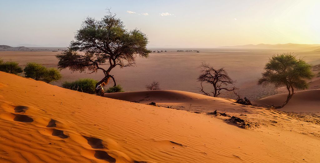 Autotour di 11 notti tra Namibia, Botswana e le Cascate Vittoria
