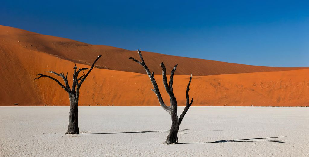 Autotour della Namibia