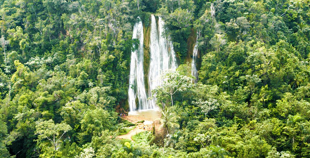 Viva Wyndham V Samana 5* - Adults Only