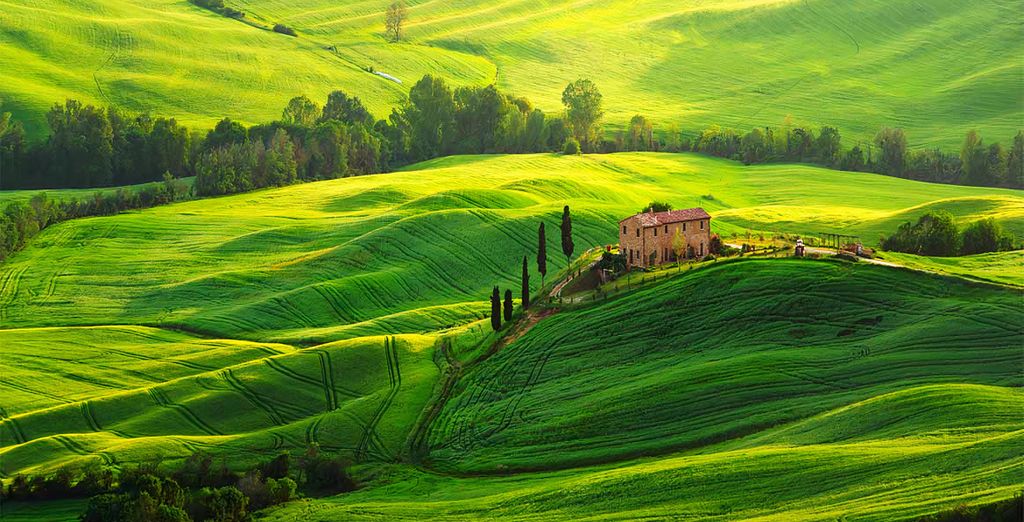 Tour sulle strade del vino in Toscana di 4 o 7 notti