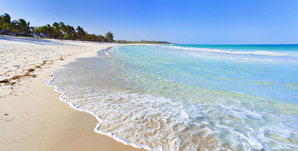 Jumbo Club Watamu 5* con possibile safari