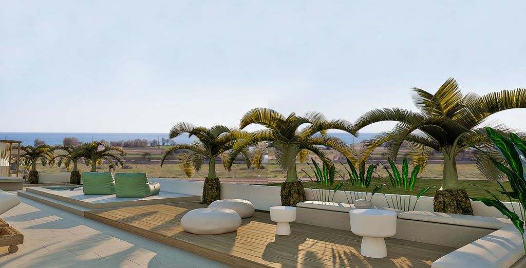 Petri Suites 