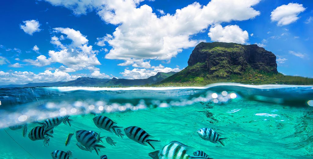 Coral Azur Hotel Mont Choisy 