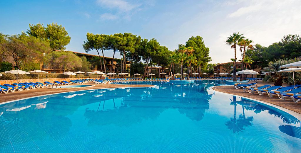 Fergus Club Vell Mari