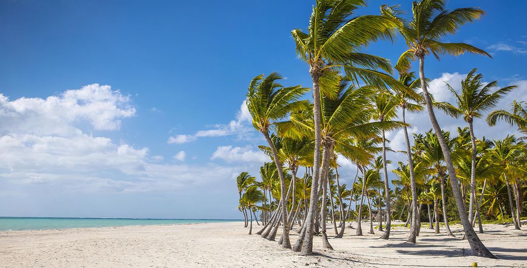 Dreams Onyx Punta Cana 5*