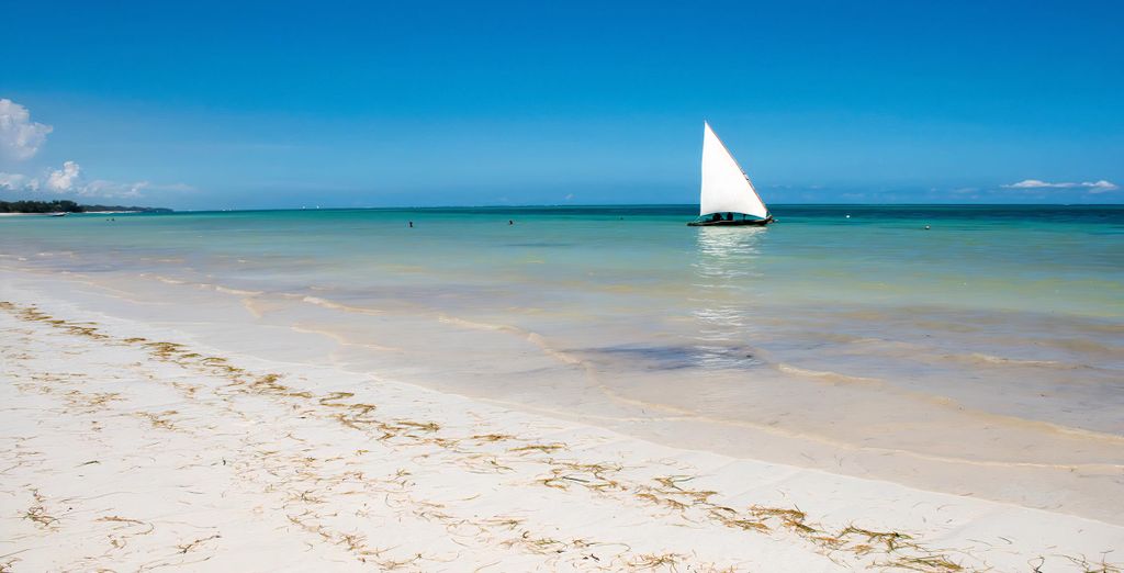 Jacaranda Indian Ocean Beach Resort 4* e safari nella natura