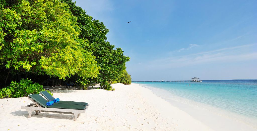 Combinato 5* Sheraton Grand Doha Resort & Convention Hotel e Royal Island Resort & Spa