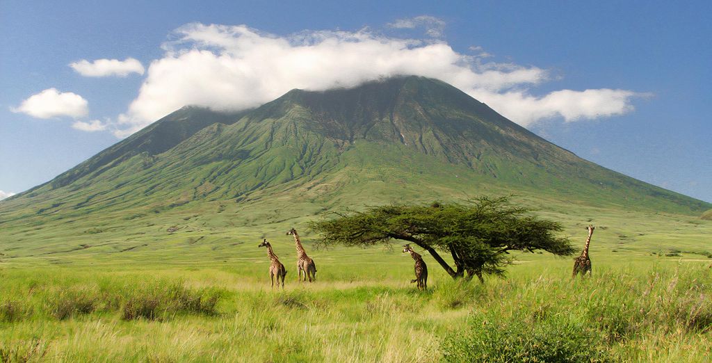 Safari nella natura e Toa hotel & Spa 5*