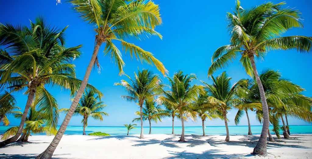 Hideaway at Royalton Punta Cana 5* - Adults Only