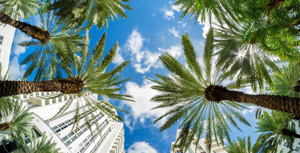 The Palms Hotel & Spa 4* e Viva Wyndham Fortuna Beach 4*