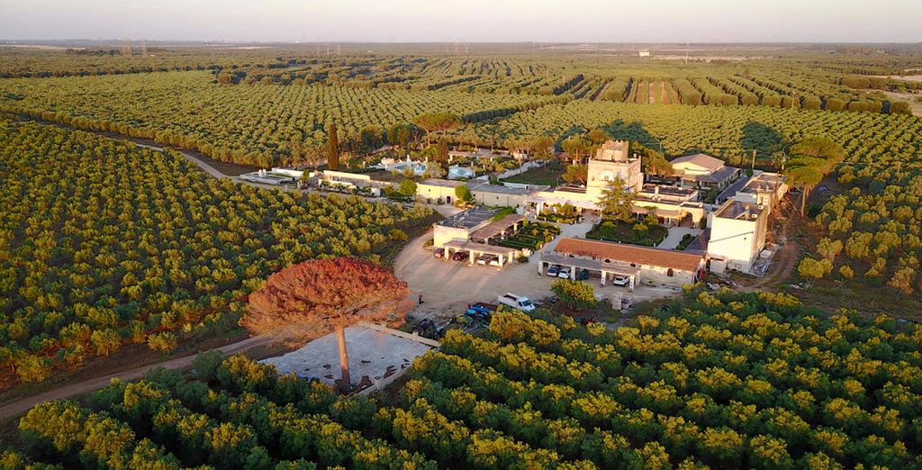 Agriturismo Tenuta Mazzetta