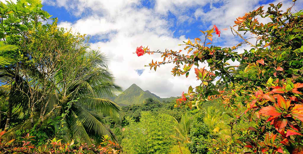 Anoli Lodges