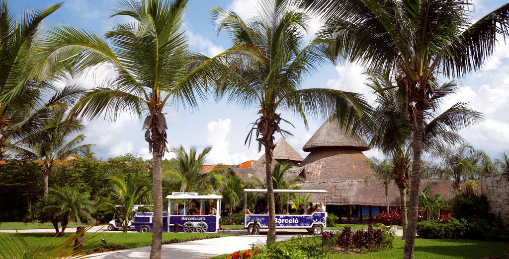 The Belvedere Hotel e Barcelo Maya Caribe 5*