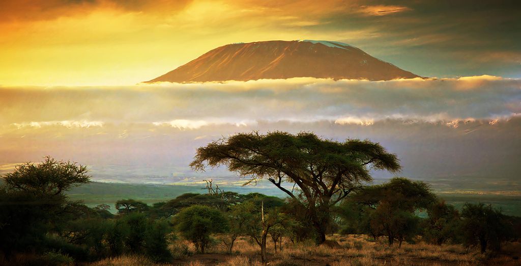 Safari di 6 notti con estensione al The Baobab Beach Resort & Spa 4*