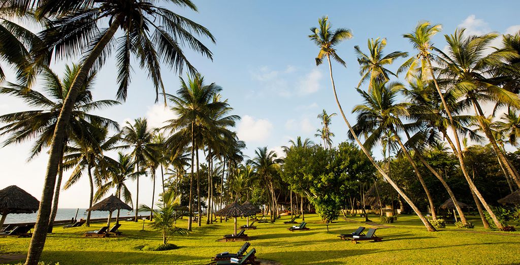 Neptune Paradise Beach Resort & Spa 4* ed eventuale safari