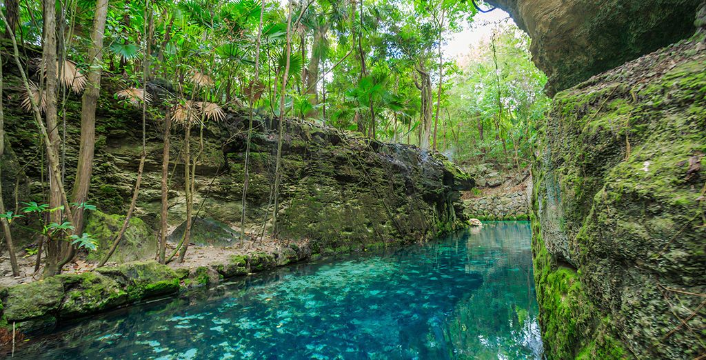 Occidental at Xcaret Destination 5*