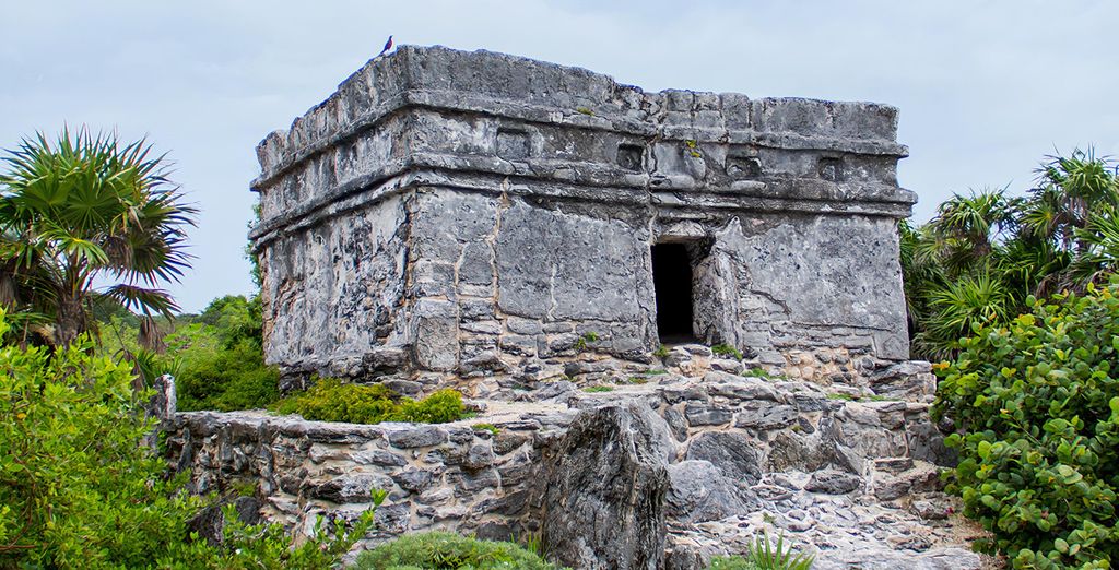 Occidental at Xcaret Destination 5*