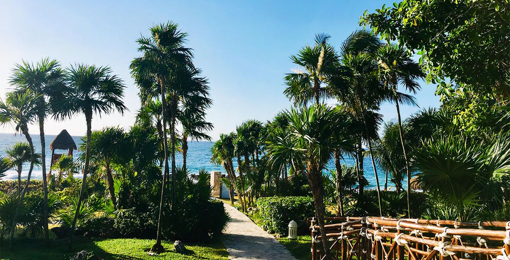 Occidental at Xcaret Destination 5*