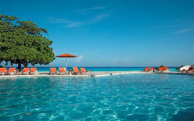 Sunscape Cove Montego Bay 4*