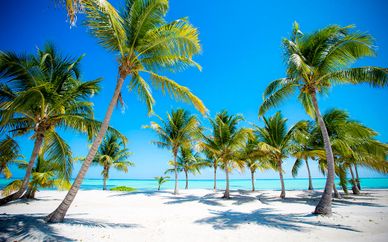Vista Sol Punta Cana Beach Resort & Spa 4*