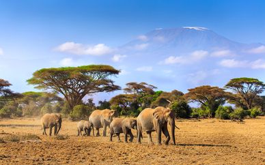 Southern Palms Beach Resort 4* con safari