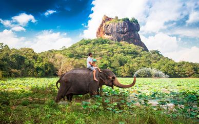 Tour privado 5* por Sri Lanka con extensión a la playa