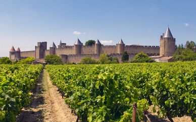 DoubleTree by Hilton Carcassonne 5*