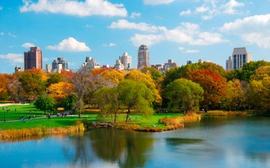 Holiday Inn NYC Times Square