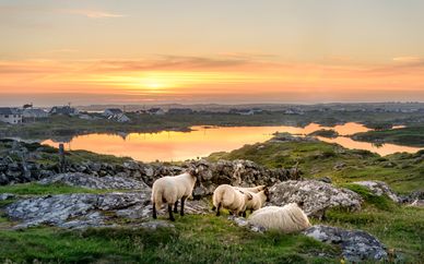 Autotour Highlights of Ireland 7 nuits