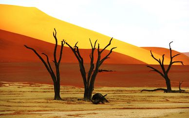 Autotour Namibie : Mosaique Culturelle - 13 nuits