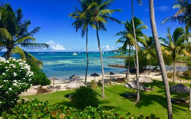 Hôtel Cap Est Lagoon Resort & Spa 4*