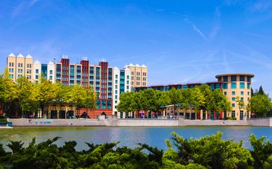 Disney's Hotel New York® 4*