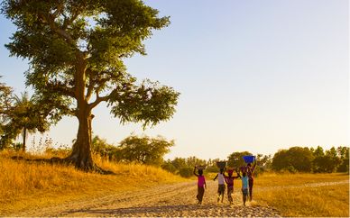 Au Pays des Baobabs avec ou sans extension au Saly 4*