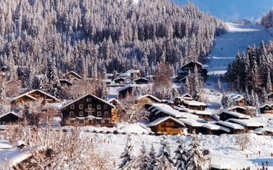 Village de vacances Les Flocons Verts