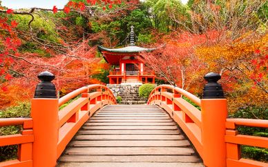 Circuit Découverte du Japon en liberté - 8 à 14 nuits