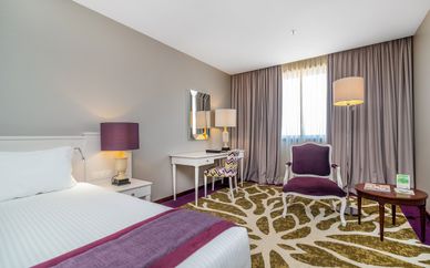 Hôtel Holiday Inn Porto Gaia 4*