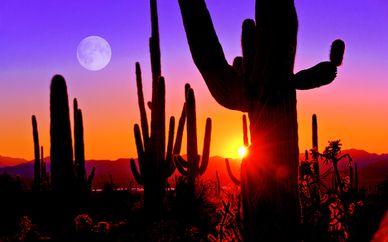 Autotour Arizona et Nouveau-Mexique - extension à Los Angeles