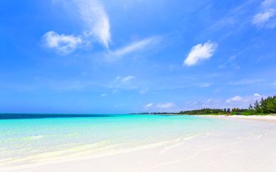 Warwick Paradise Island Bahamas 4*