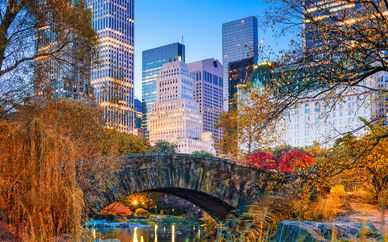Hilton Garden Inn Central Park South NYC
