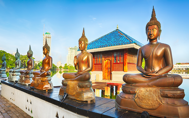 Circuit privatif Découverte du Sri Lanka en 8, 10, 12 nuits