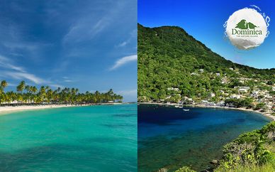 Combiné Guadeloupe et île de la Dominique