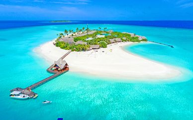 Dhigufaru Island Resort 5*