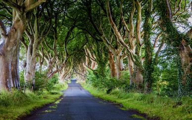 Game of Thrones Autotour