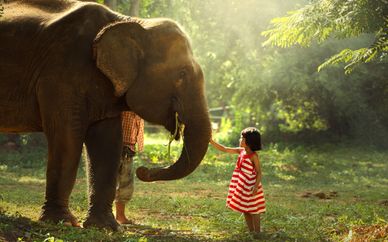 Tour di 7 notti in Sri Lanka e estensione mare a Waskaduwa