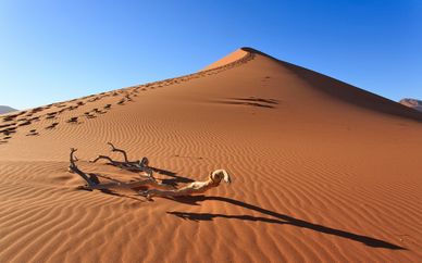 Namibia Fly & Drive - Partenze 2018
